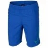 Best Pirce 🔥 Nike Boys' Solid Logo Swim Volley Royal Blue 👍 1 Best Pirce 🔥 Nike Boys' Solid Logo Swim Volley Royal Blue 👍 -Wilson Sales Store 4720 12846 8360 461 big 02