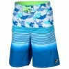 Discount 🛒 Laguna Boys' ☀️ Summer Swim Shorts Blue Combo 🎁 1 Discount 🛒 Laguna Boys' ☀️ Summer Swim Shorts Blue Combo 🎁 -Wilson Sales Store 4720 13221 2100 408 big 02