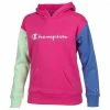 Cheap π Champion π§ Girls' Multi Stripe Pattern Color Block Fleece Hoodie Pink Combo π₯° 2 Cheap π Champion π§ Girls' Multi Stripe Pattern Color Block Fleece Hoodie Pink Combo π₯° -Wilson Sales Store 4755 15526 0306 658 big 03